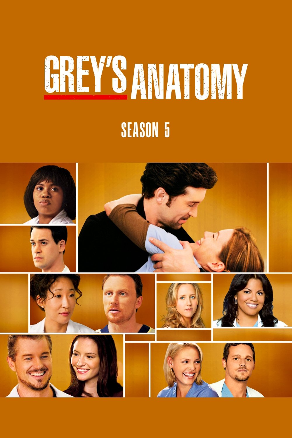 Grey's Anatomy - Season 5 [14685] (A1763992917) [[Shows]] --Plex--